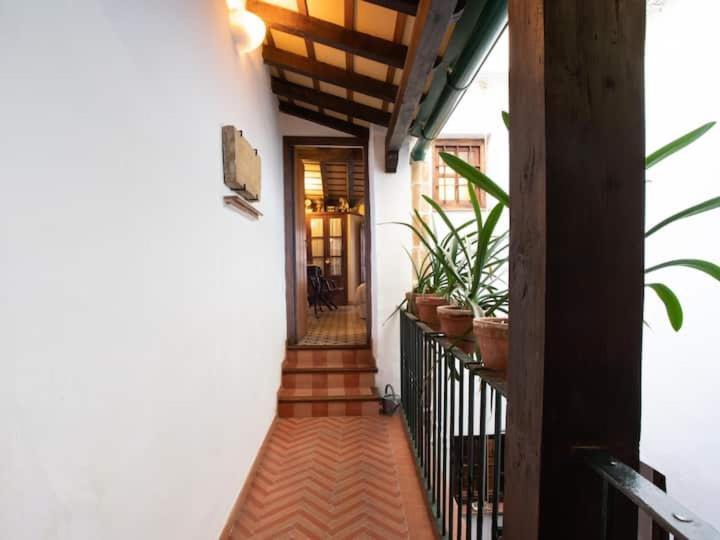 Historic House In The City Center Seville Ngoại thất bức ảnh